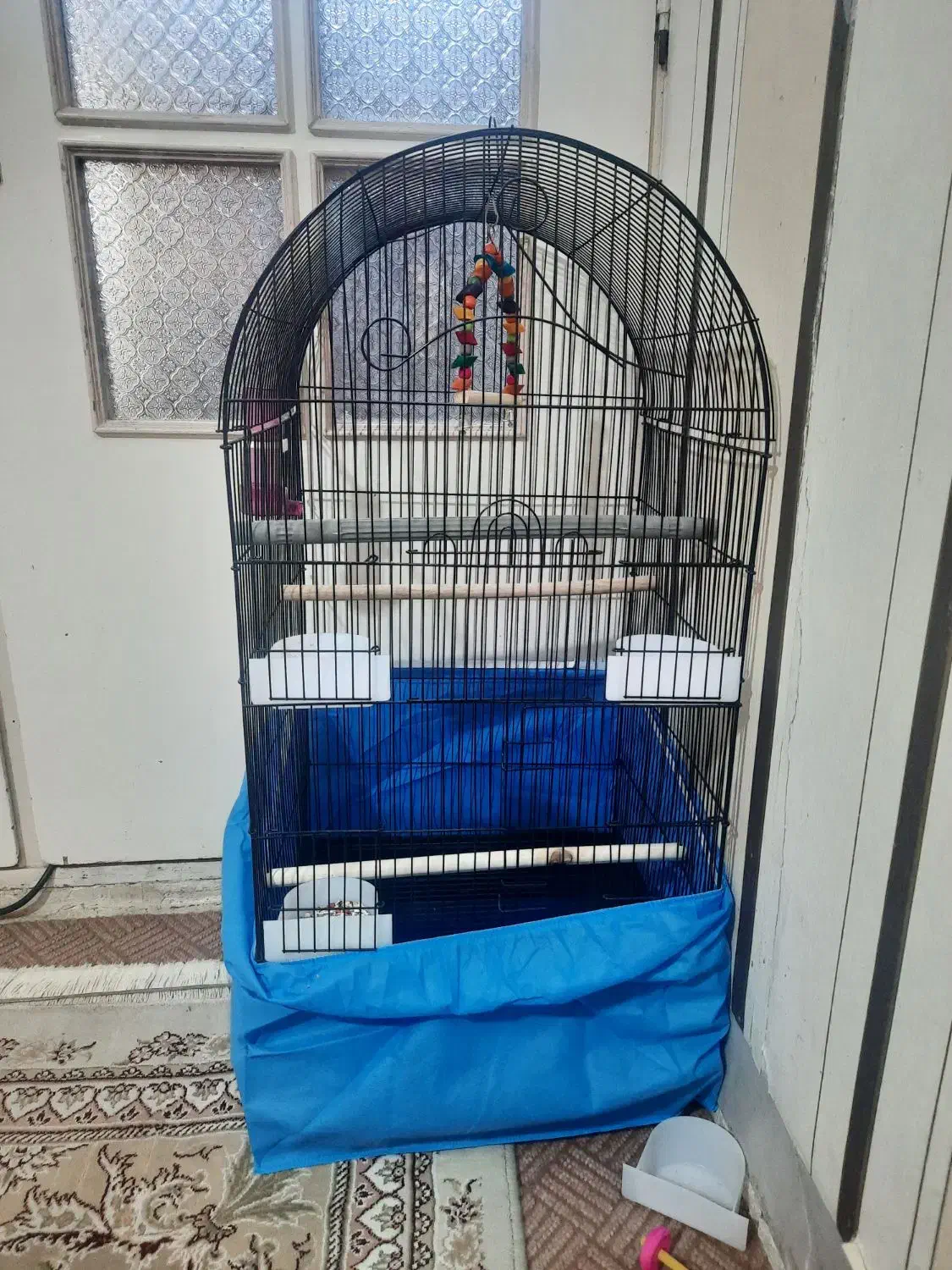 قفس طوطیسانان|لوازم جانبی حیوانات|قم, بنیاد|دیوار