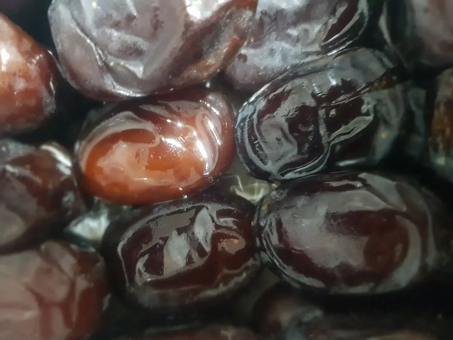 رطب صادرات تازه|خوردنی و آشامیدنی|تهران, آهنگ|دیوار