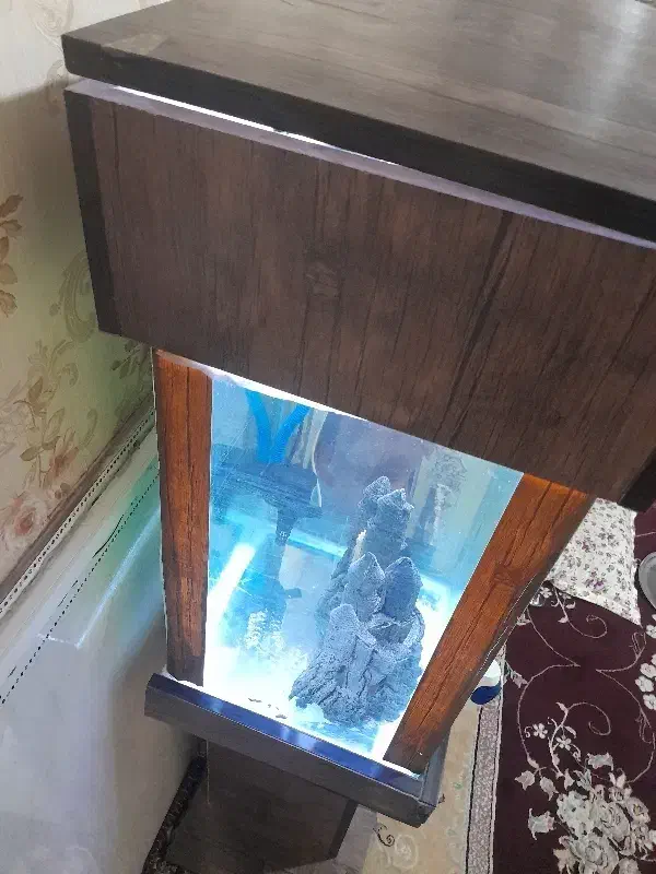 اکواریوم باماهی لجن خوار طلایی و یه سری لوازم|ماهی|اسلامشهر, شهرک قائمیه|دیوار