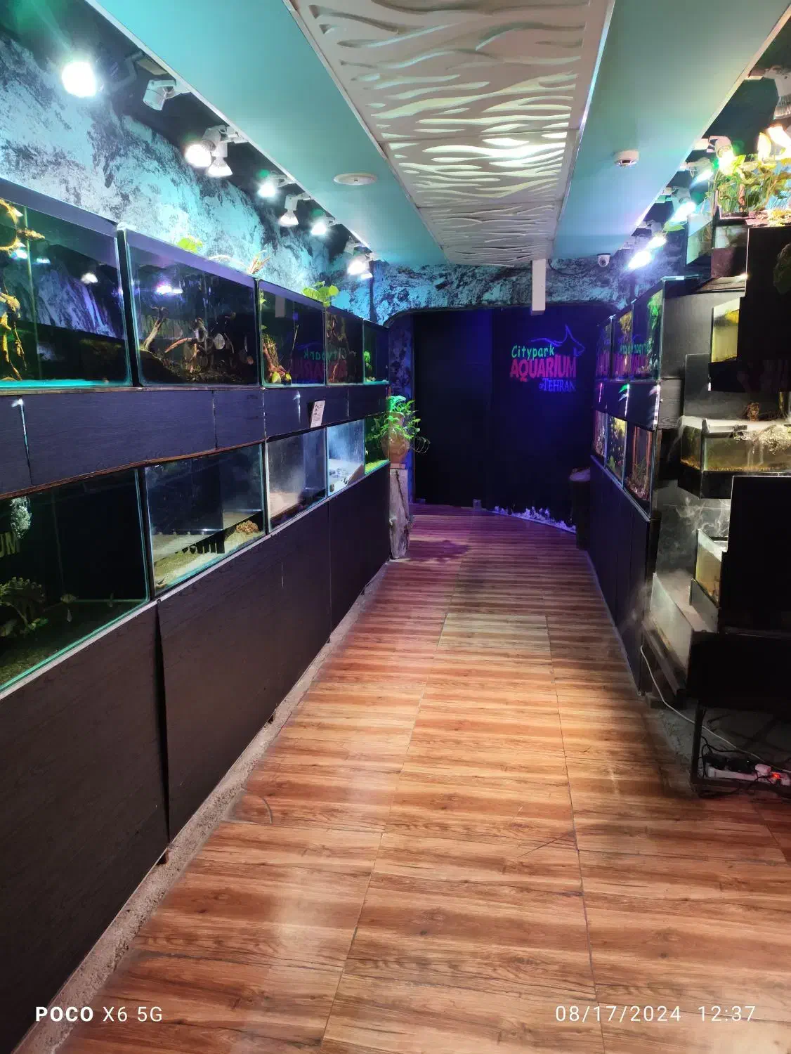 استخدام در مجموعه گردشگری آکواریوم پارک|استخدام اداری و مدیریت|تهران, پارک شهر|دیوار