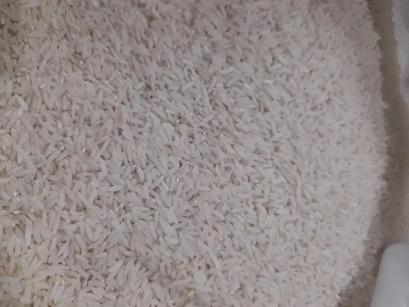 برنج هاشمی محلی|خوردنی و آشامیدنی|اندیشه, اندیشه فاز ۱|دیوار