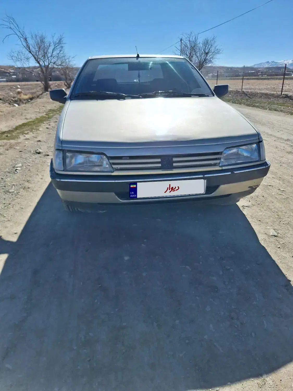 پژو ۴۰۵ مدل ۸۳|خودرو سواری و وانت|دهگلان, |دیوار