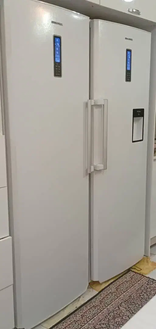 یک عدد یخچال و فریزر دو قلو الکترو استیل|یخچال و فریزر|سیرجان, |دیوار