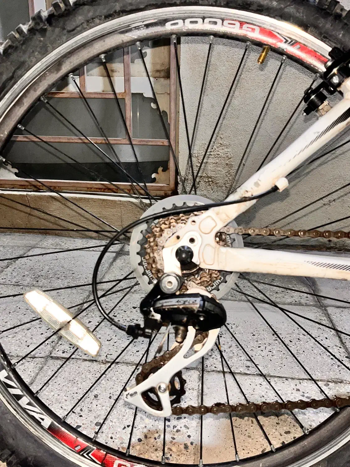 دو چرخه|دوچرخه، اسکیت، اسکوتر|سیرجان, |دیوار