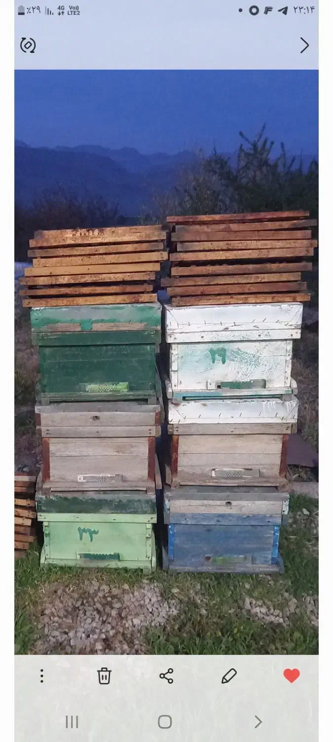 ۹ عدد کندو خالی با قاب|لوازم جانبی حیوانات|گیلان غرب, |دیوار