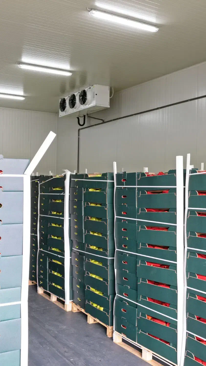 352 فروش و ساخت انواع 352 سردخانه 352|ماشینآلات صنعتی|بندرعباس, |دیوار