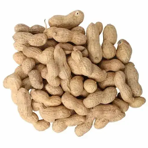 کارگر جهت دستچین کردن بادام زمینی|استخدام صنعتی، فنی، مهندسی|بستان آباد, |دیوار