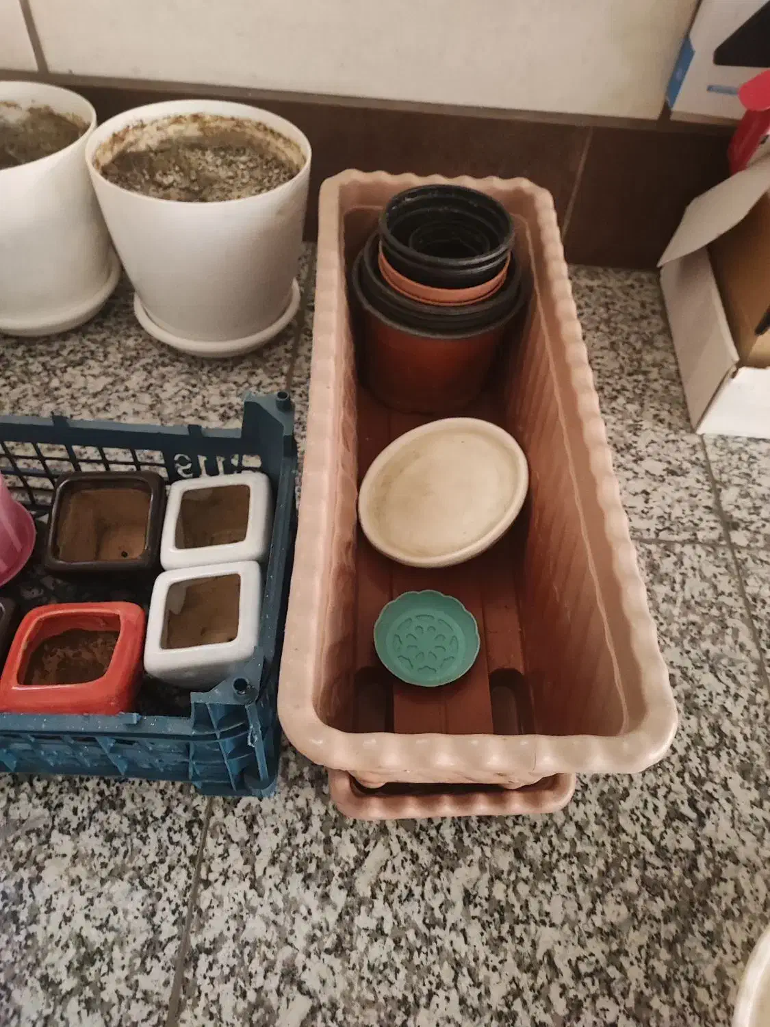 گلدانهای سفالی و پلاستیکی|گل و گیاه طبیعی|کرج, کوی مهر|دیوار