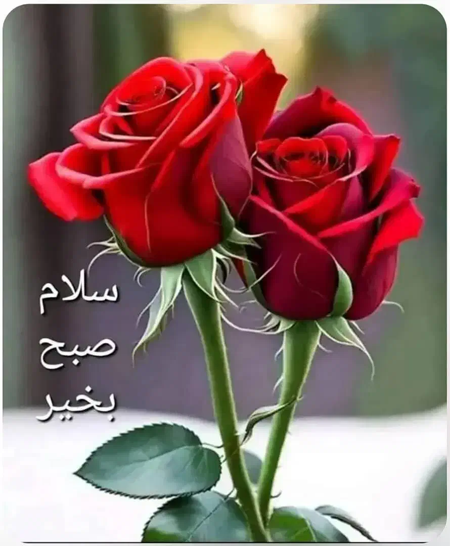 راهنمایی کنید|فعالیت داوطلبانه|یزد, |دیوار