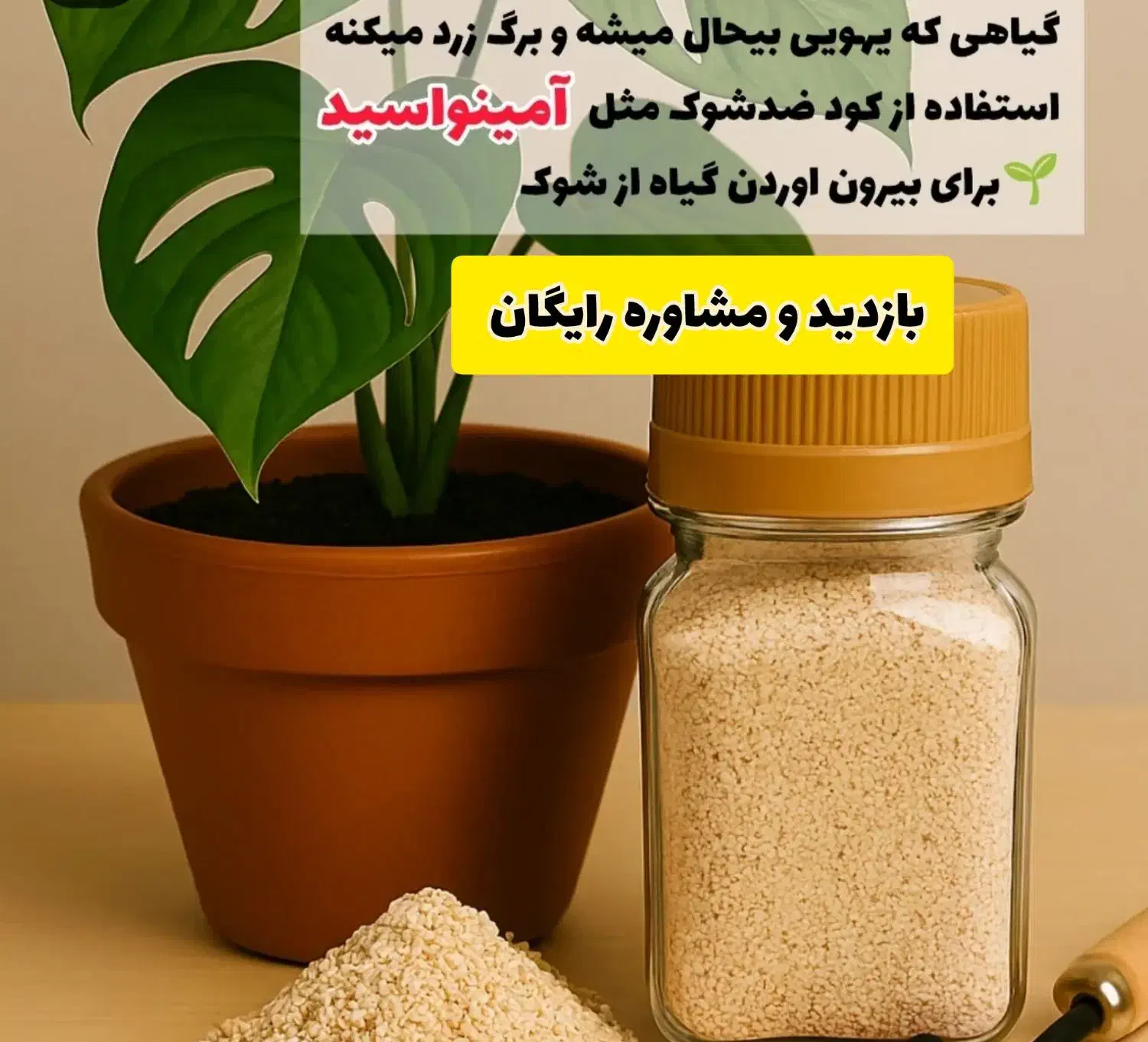 بازدید و مشاوره رایگان|خدمات باغبانی و درختکاری|دوگنبدان, |دیوار