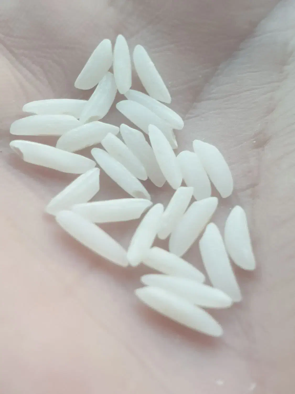 برنج صادراتی ارگانیک هاشمی مستقیم از مزرعه دار|خوردنی و آشامیدنی|تهران, فرمانیه|دیوار