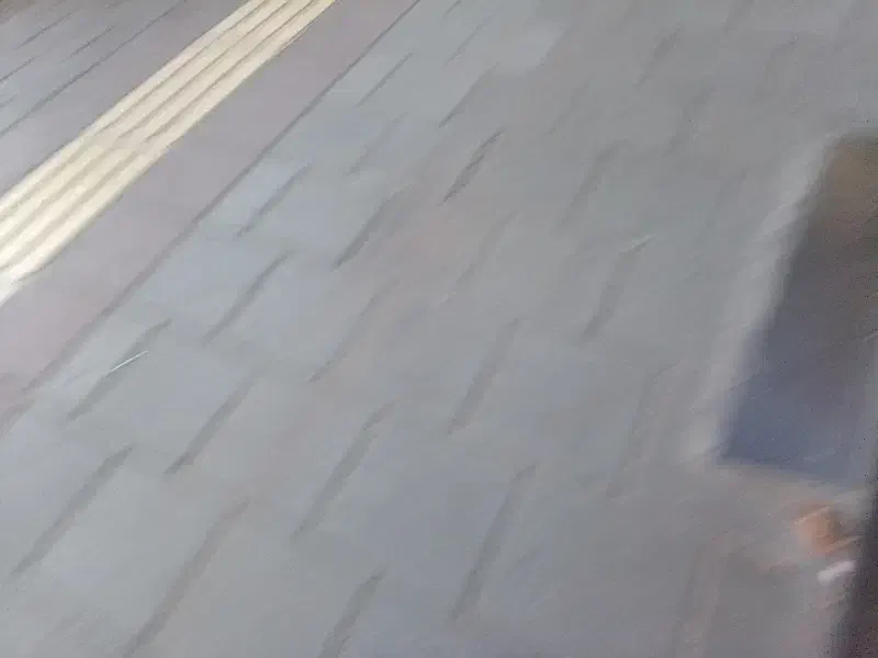 طعمه  م ار م اه ی|ماهیگیری|ارومیه, |دیوار