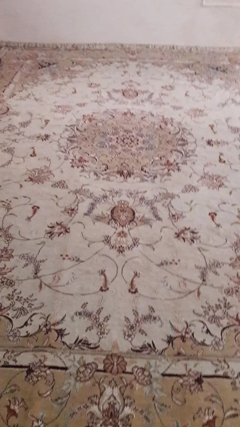 فرش۱۲متری|فرش|زنجان, |دیوار