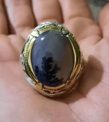 انگشترنقره شجر قائن کلکسیونی سنگین وزن|جواهرات|کرمانشاه, |دیوار