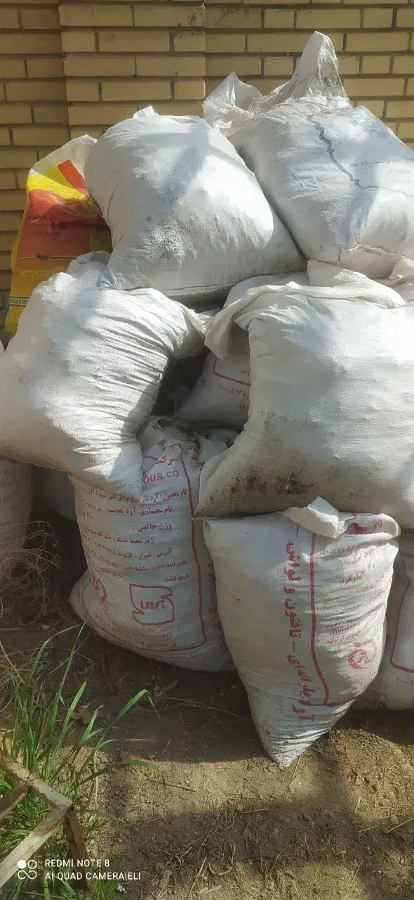 کود کفتر|گل و گیاه طبیعی|شیراز, کوشک میدان|دیوار