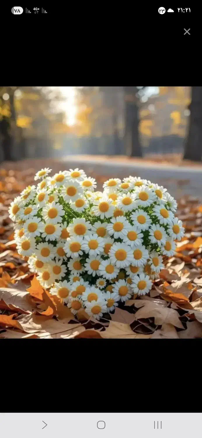 راهنمایی|فعالیت داوطلبانه|شیراز, بعثت|دیوار