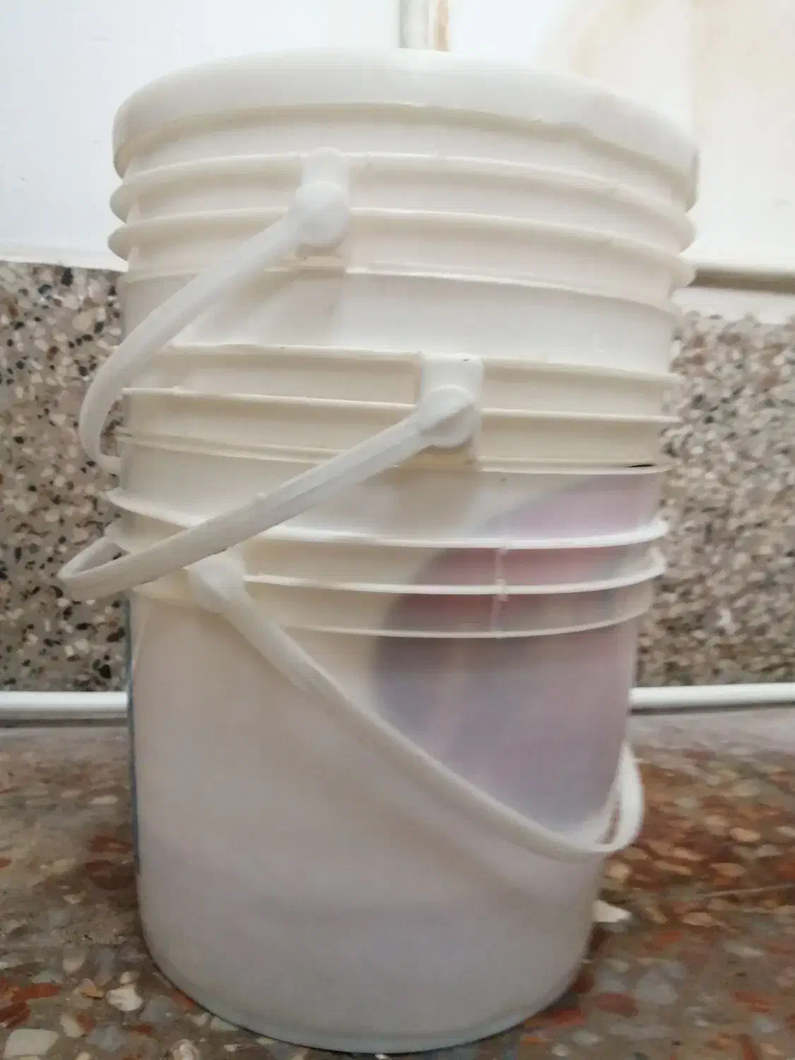 سطل محکم 6 کیلویی پنیری درب دار|ظروف نگهدارنده، پلاستیکی، یک‌بارمصرف|حمیدیا, |دیوار