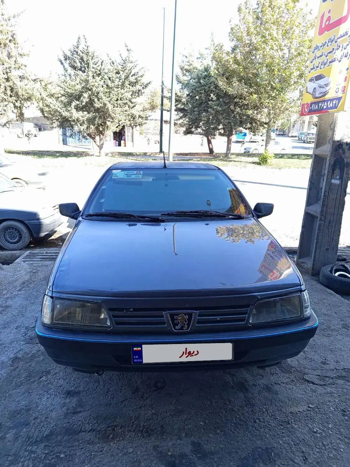 پژو دلفینی ۹۴|خودرو سواری و وانت|ایلام, |دیوار