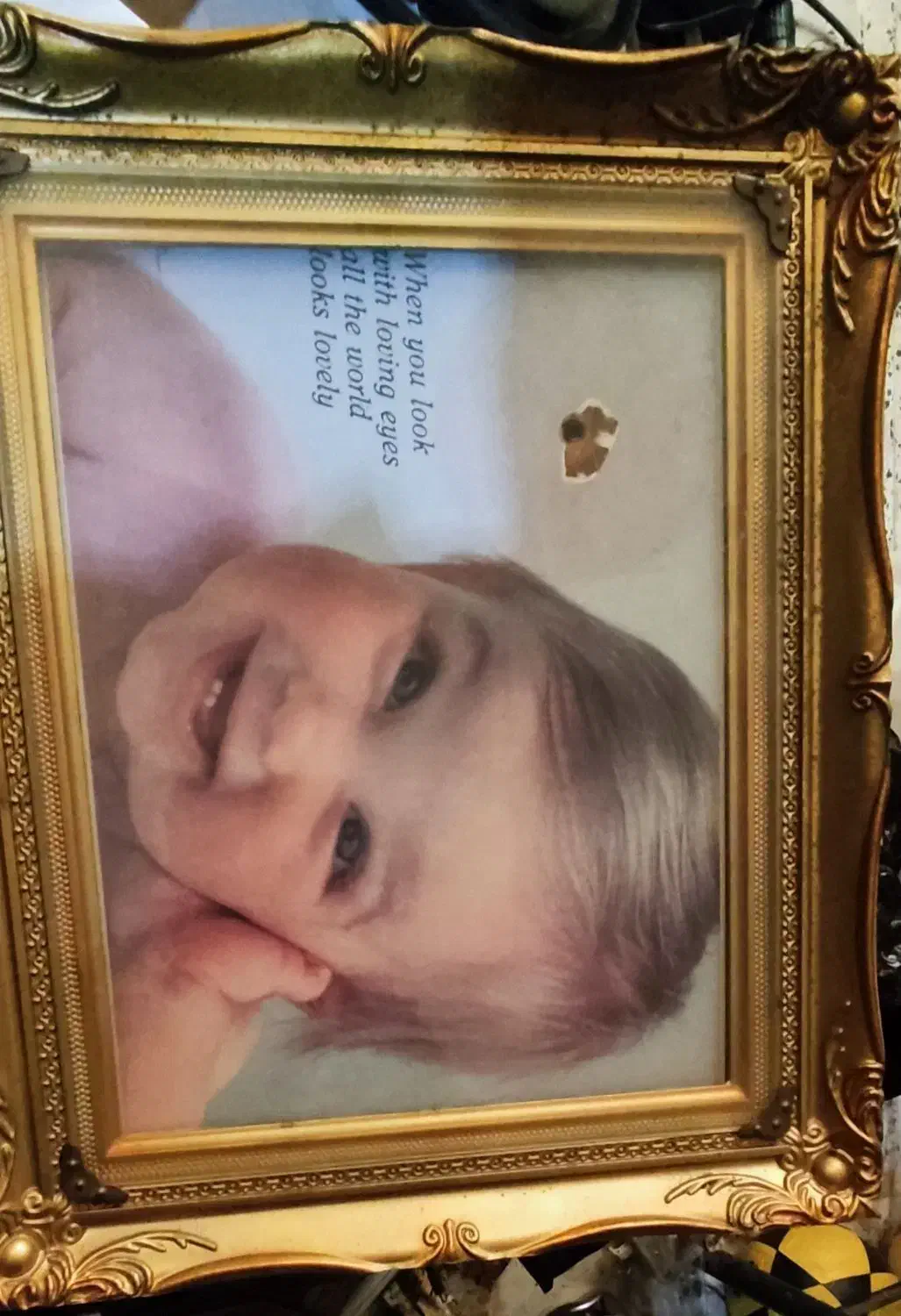 فروش بشکه فروش قاب عکس|ظروف نگهدارنده، پلاستیکی، یکبارمصرف|رشت, دیانتی|دیوار