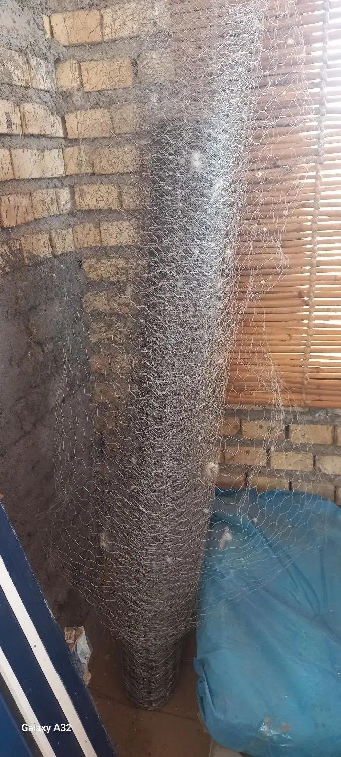 توری محافظ قفس مرغ و پرنده|لوازم جانبی حیوانات|گنبد کاووس, |دیوار