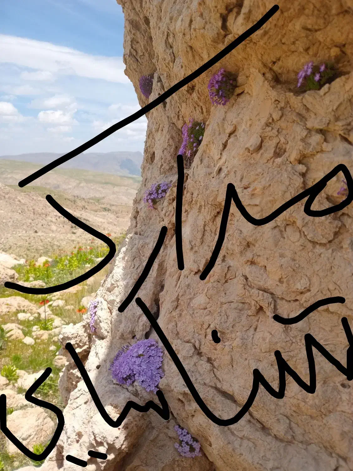 گمشده(مدارک)|اشیا|یاسوج, |دیوار