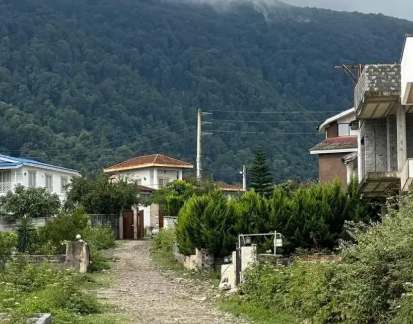 مشرف به جنگل 265 متر شهرک مدرن|فروش زمین و ملک کلنگی|نشتارود, |دیوار