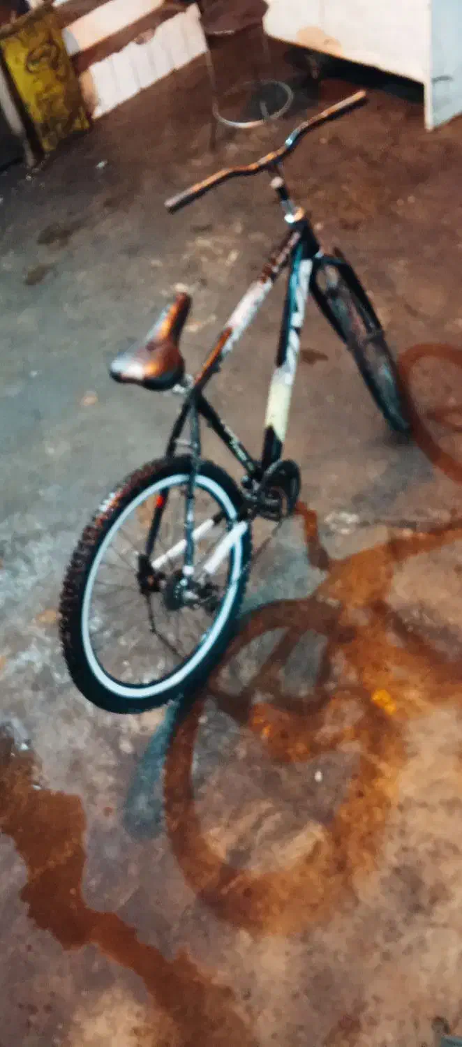 دوچرخه 26|دوچرخه، اسکیت، اسکوتر|اندیکا, |دیوار