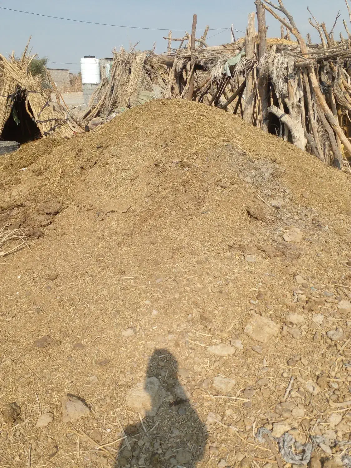 کود گاو|عمدهفروشی|عنبرآباد, |دیوار