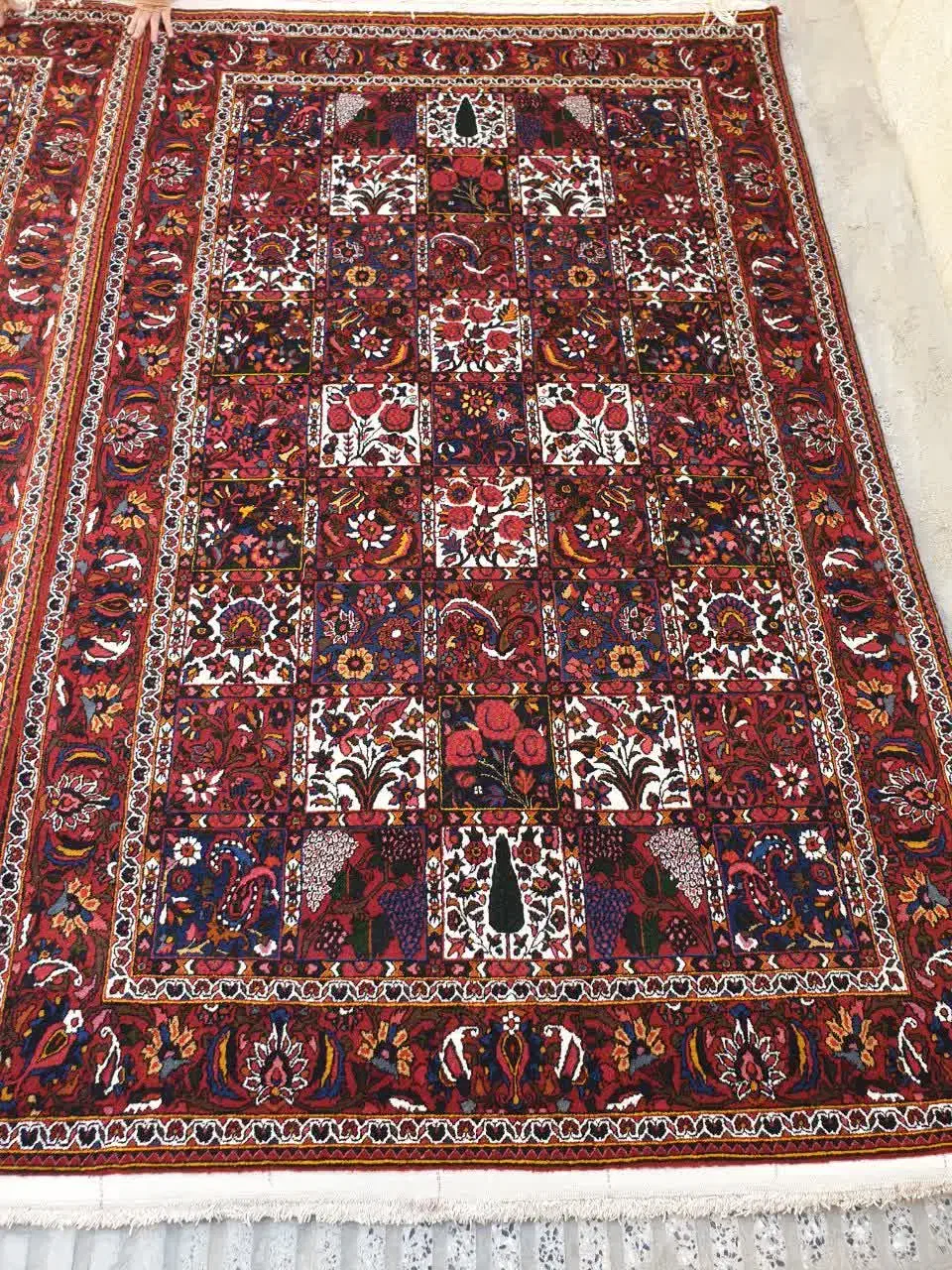 قالی دست بافت چالشتر|فرش|شهرکرد, |دیوار