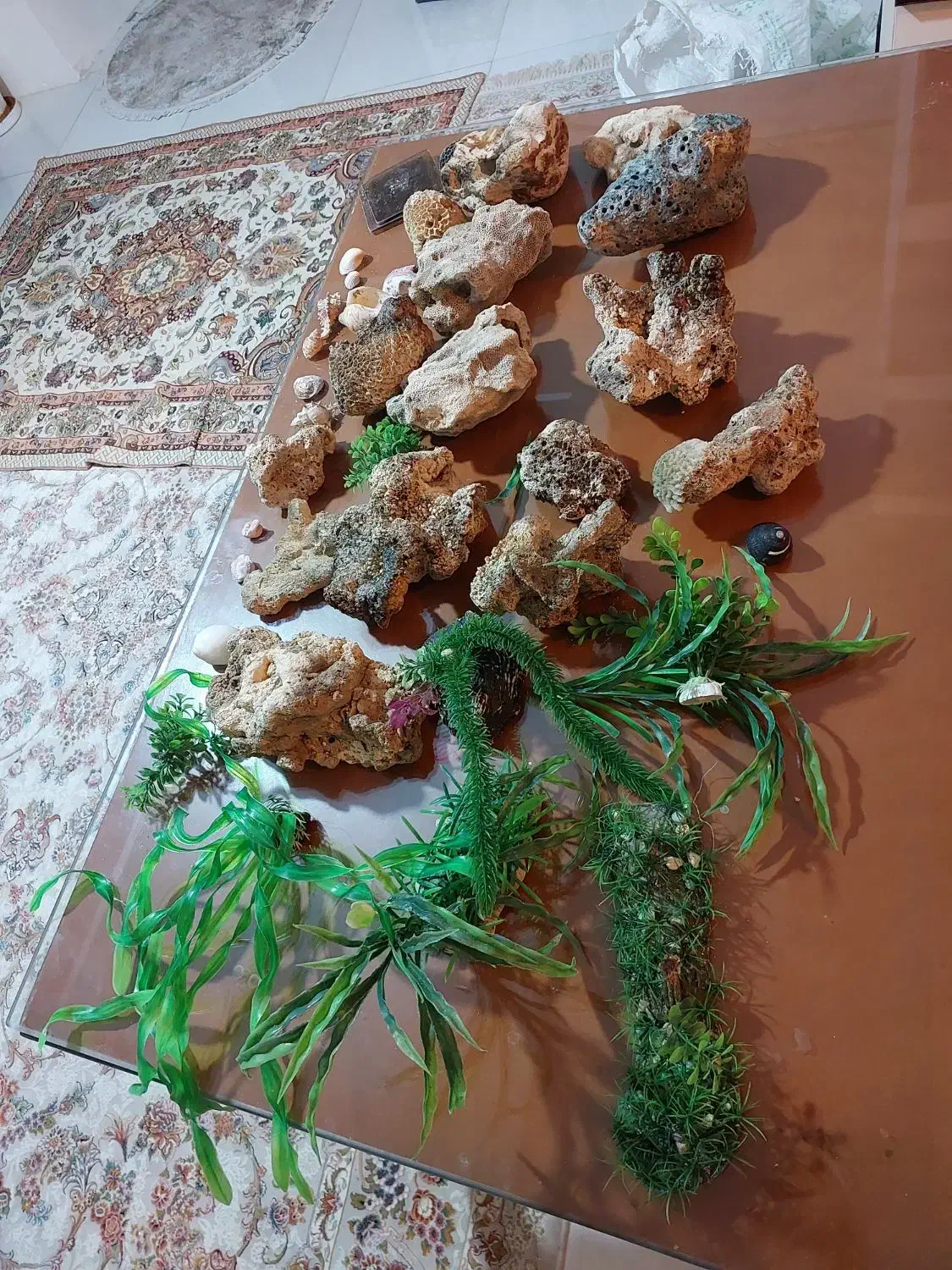 اکواریوم ۱۲۰ سانتی|ماهی|همدان, |دیوار