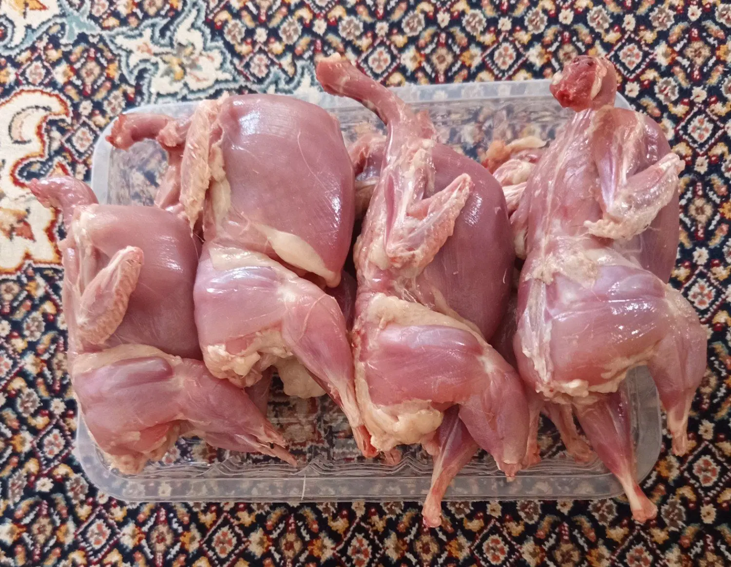 گوشت...|خوردنی و آشامیدنی|بیرجند, |دیوار