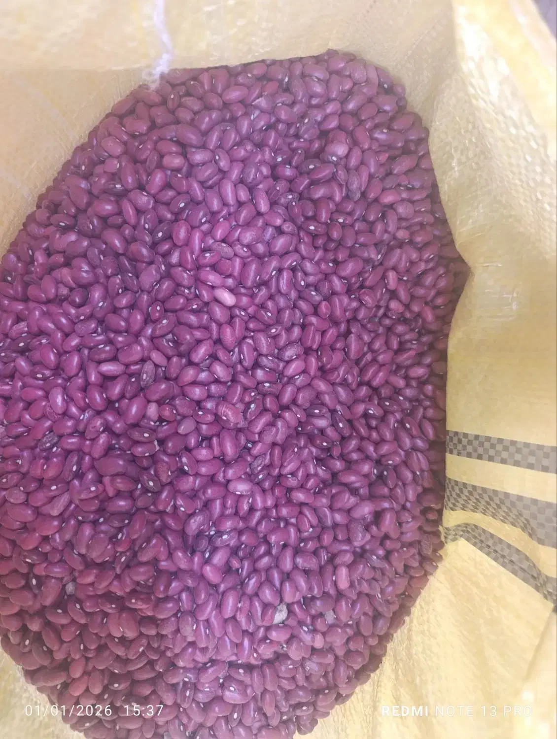 لوبیا قرمز|خوردنی و آشامیدنی|بزینه رود, |دیوار