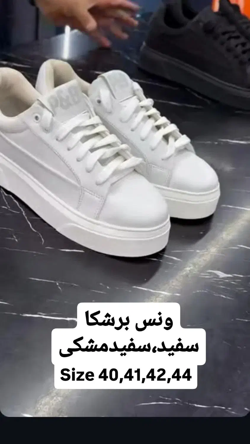 کتونی ونس برشکا لژدار سفید،سفید مشکی ۴۰ تا ۴۴|کیف، کفش، کمربند|کرج, حصارک بالا|دیوار