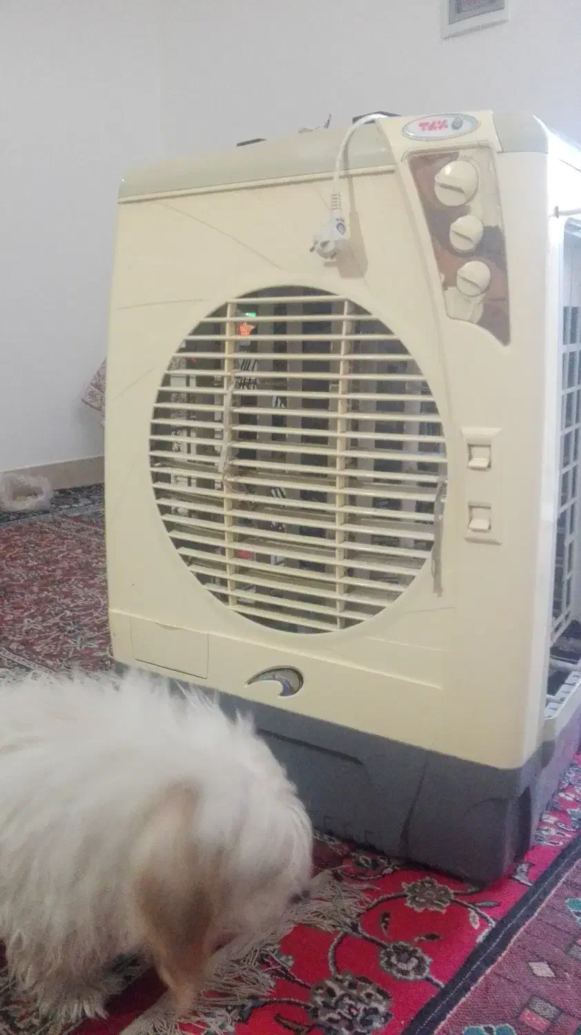 کولرپنکه ای و موتور کولر|کولر آبی|تربت‌حیدریه, پائین ولایت|دیوار