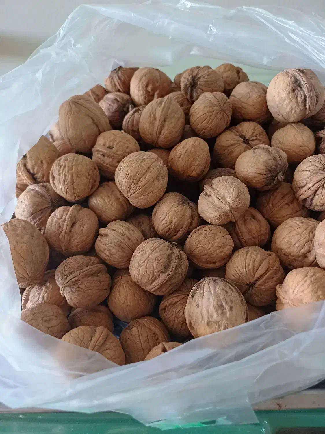 گردو تویسرکان همدان بهترین گردو ایران|خوردنی و آشامیدنی|اهواز, بهارستان|دیوار