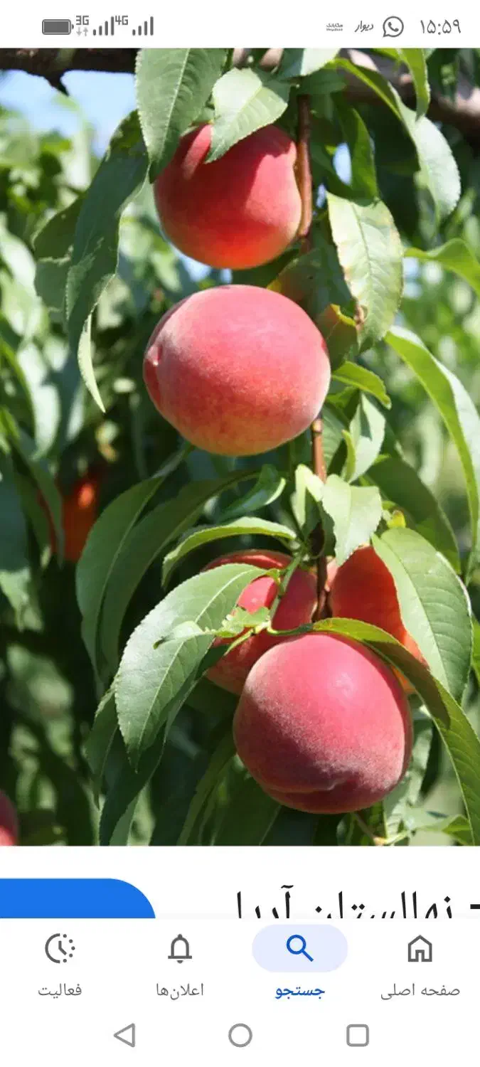 خط تولید|فعالیت داوطلبانه|تهران, بلوار کشاورز|دیوار