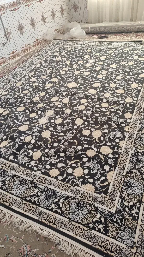 دو عدد فرش دوازده متری یک رنگ|فرش|نورآباد, |دیوار