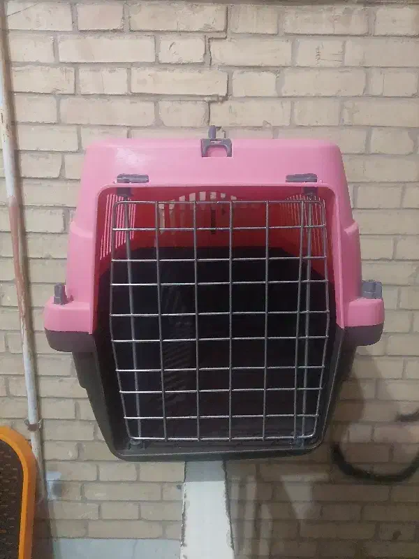 باکس سگ و...|لوازم جانبی حیوانات|یزد, |دیوار