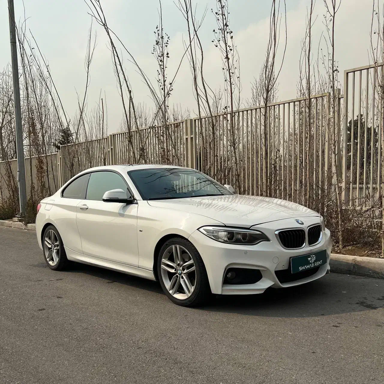 BMW 220i|خودرو اجاره‌ای|تهران, نیلوفر|دیوار