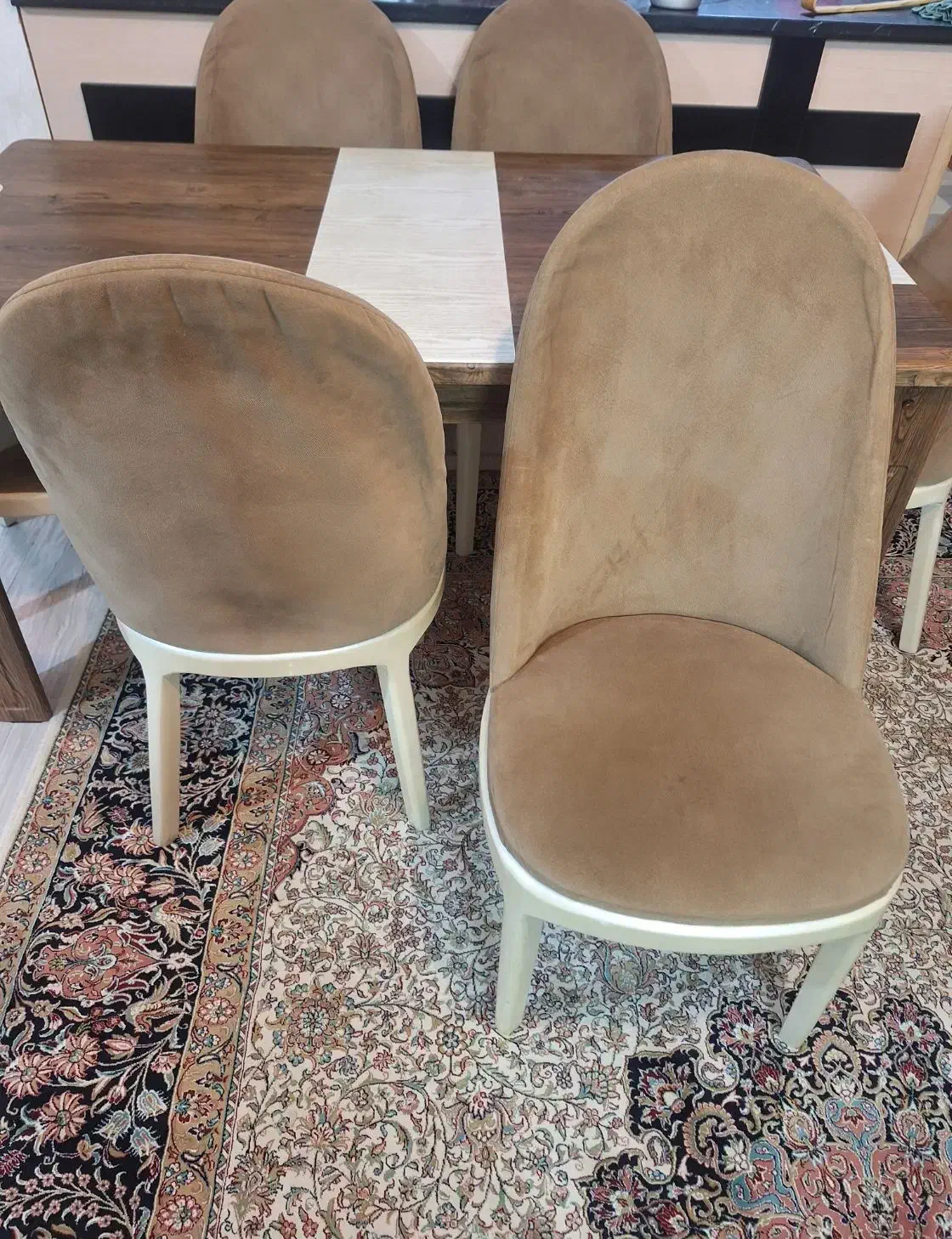 میز غذاخوری ۶ نفره|میز و صندلی غذاخوری|خوی, |دیوار