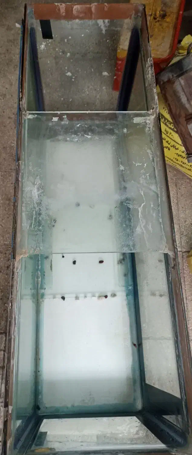 آکواریوم 110*20|ماهی|قم, نخودی|دیوار