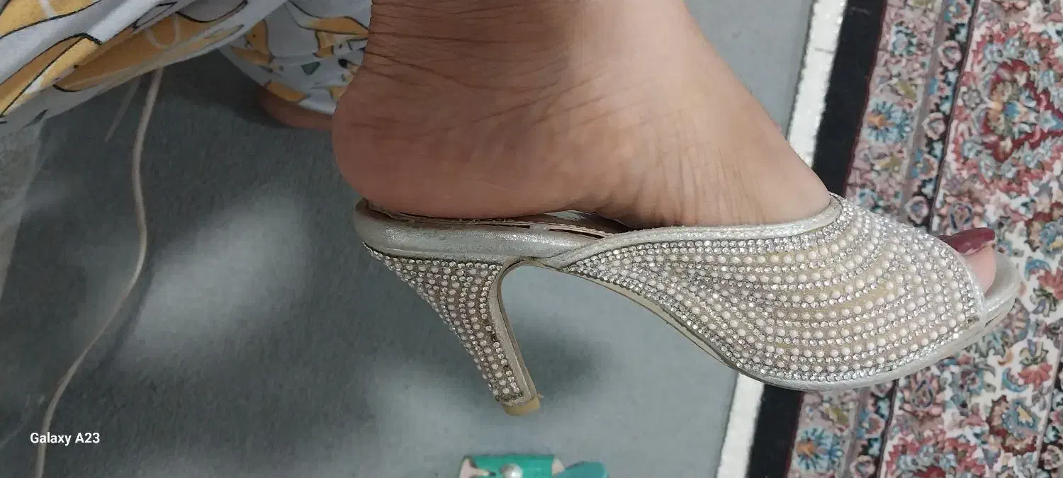 کفش|کیف، کفش، کمربند|بندرعباس, |دیوار