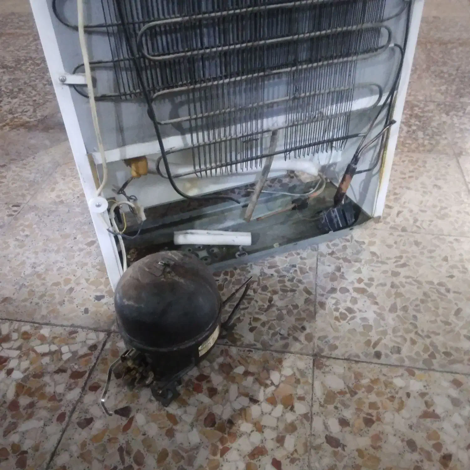 تعمیر یخچال و کولر|خدمات پیشه و مهارت|شوش, |دیوار