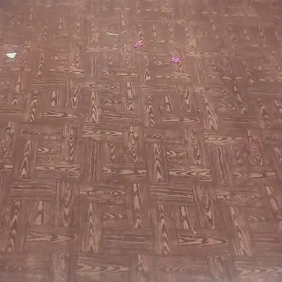 موکت در دو رنگ|موکت|مشگین شهر, |دیوار