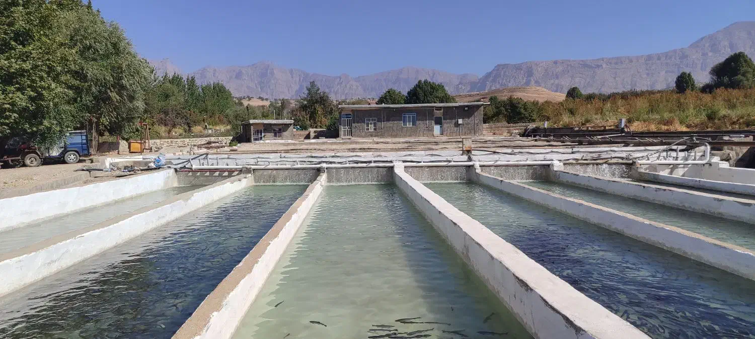 فروش خط موبایل همراه اول|موبایل|خرم‌آباد, |دیوار