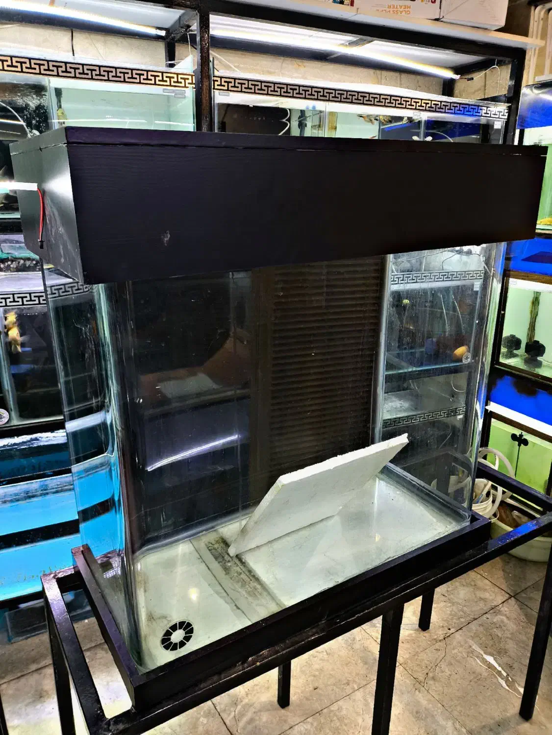 آکواریم شیشه خم سالم با وسایل کامل|ماهی|تهران, حبیب الله|دیوار