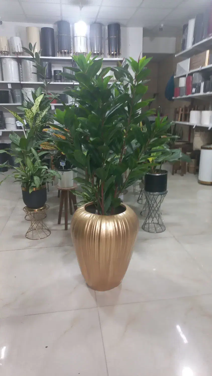 گلدان فایبرگلاس|گل و گیاه طبیعی|گرگان, |دیوار