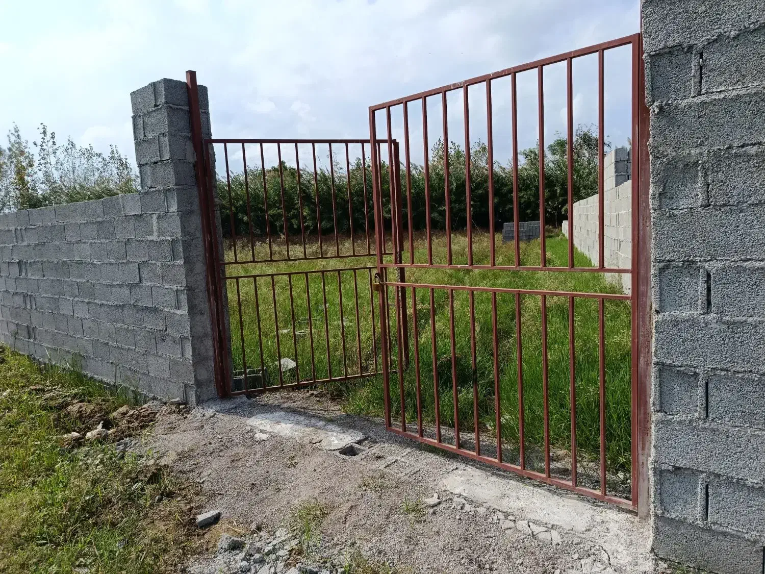 زمین 1450متری مناسب استخر و کلبه سوئیسی|فروش زمین و ملک کلنگی|خمام, |دیوار