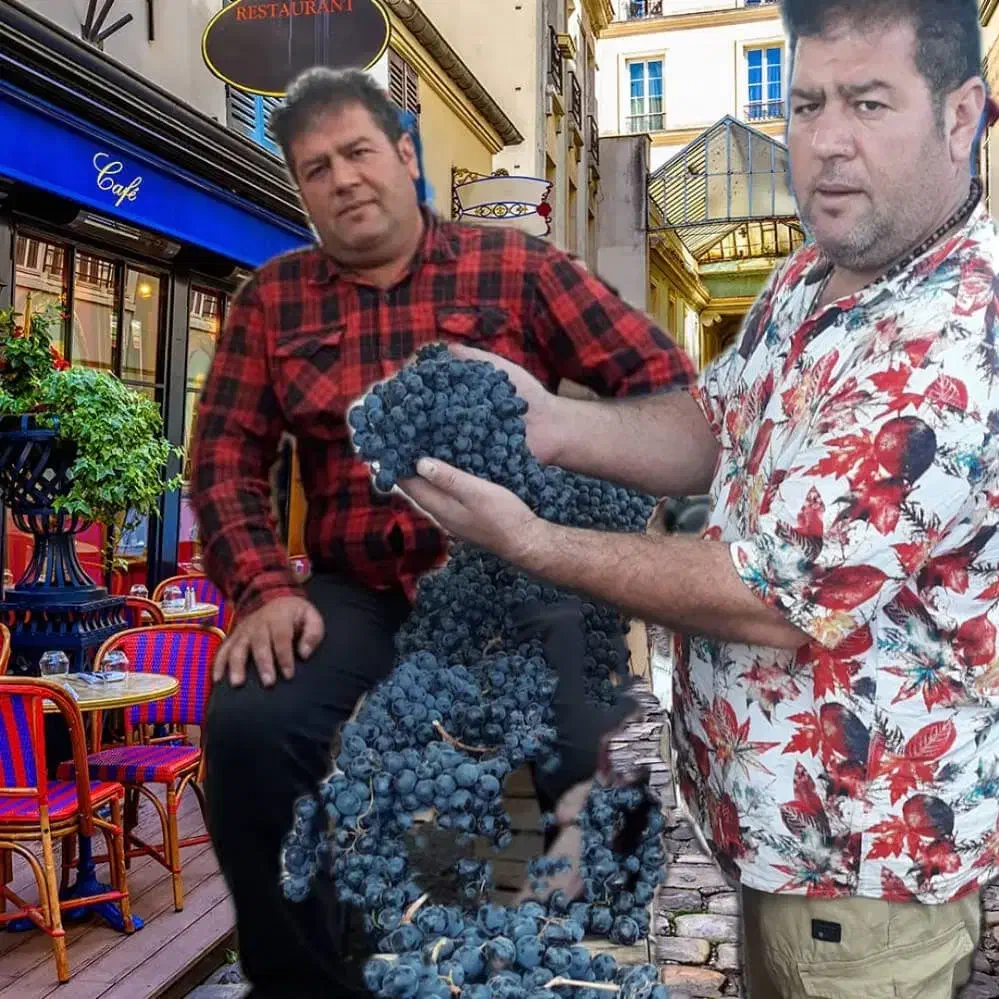 میوه مراسم تالار مجالس جشن عروسی میو استوایی انگور|خدمات پذیرایی، مراسم|تهران, میدان میوه و تره‌بار مرکزی|دیوار