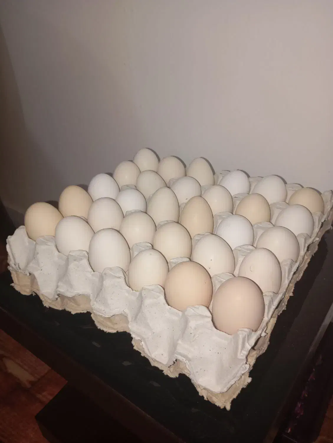 تخم مرغ محلی|خوردنی و آشامیدنی|مسجد سلیمان, |دیوار